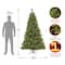 7ft. Pre-Lit Maine Pine Artificial Christmas Tree, Warm White LED Lights